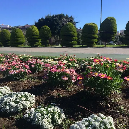فندق Apartamento Primavera