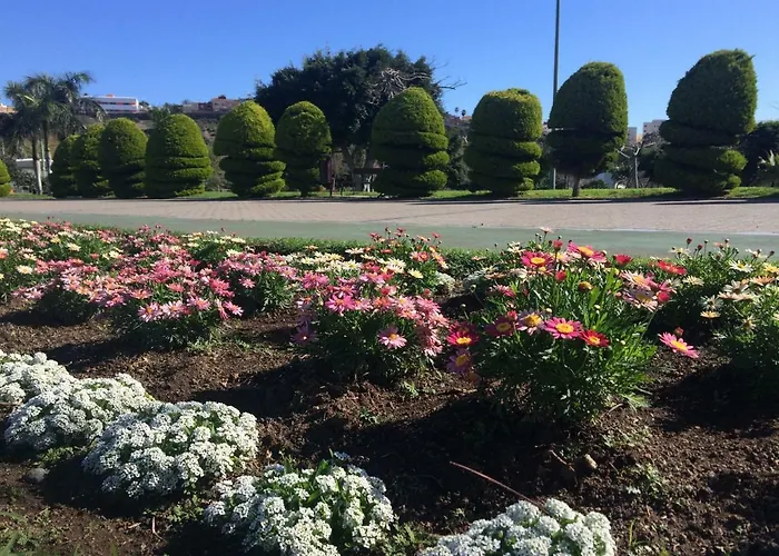 Hotel Apartamento Primavera